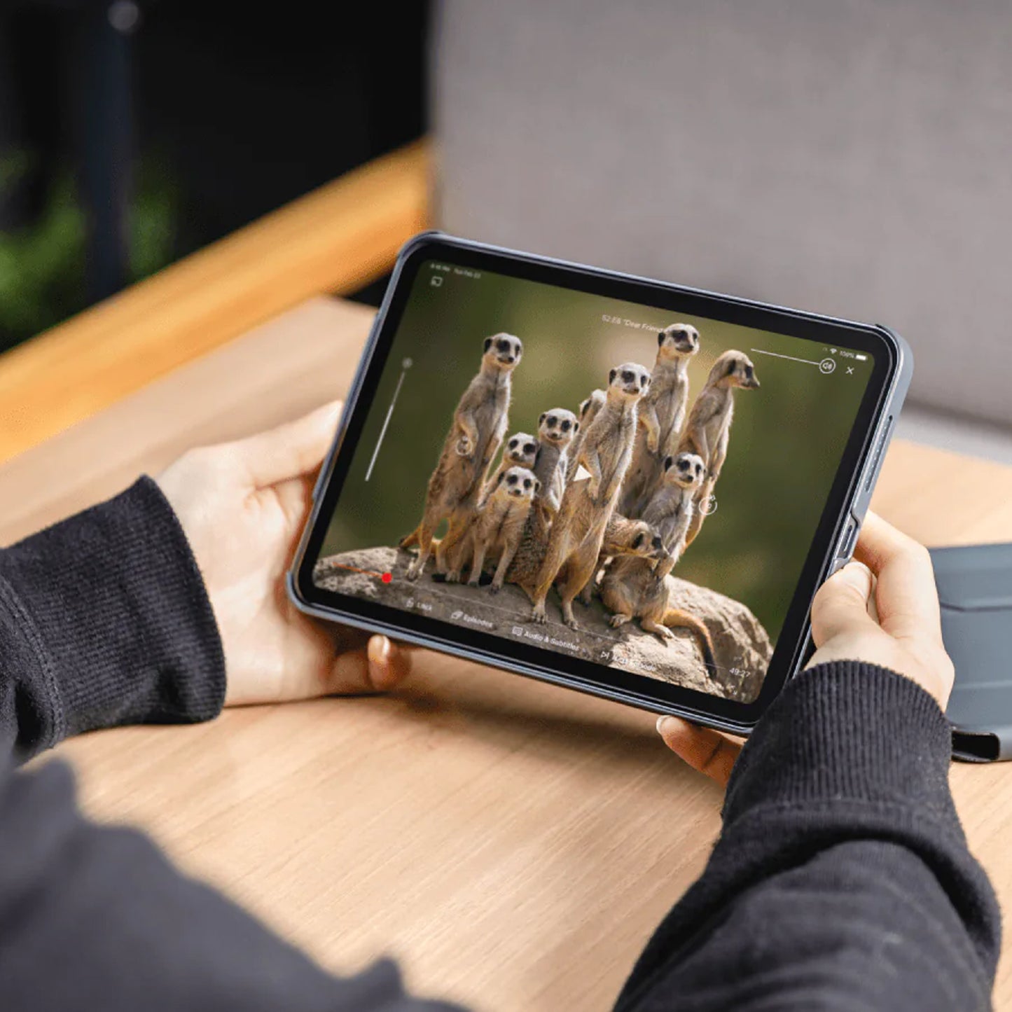 SwitchEasy Glass Defender Anti-Bluelight Screen Protector for iPad Pro 13" / Pro 11" ( M5 / M4 ) / iPad Air 13" / Air 11" (M3 / M2 )