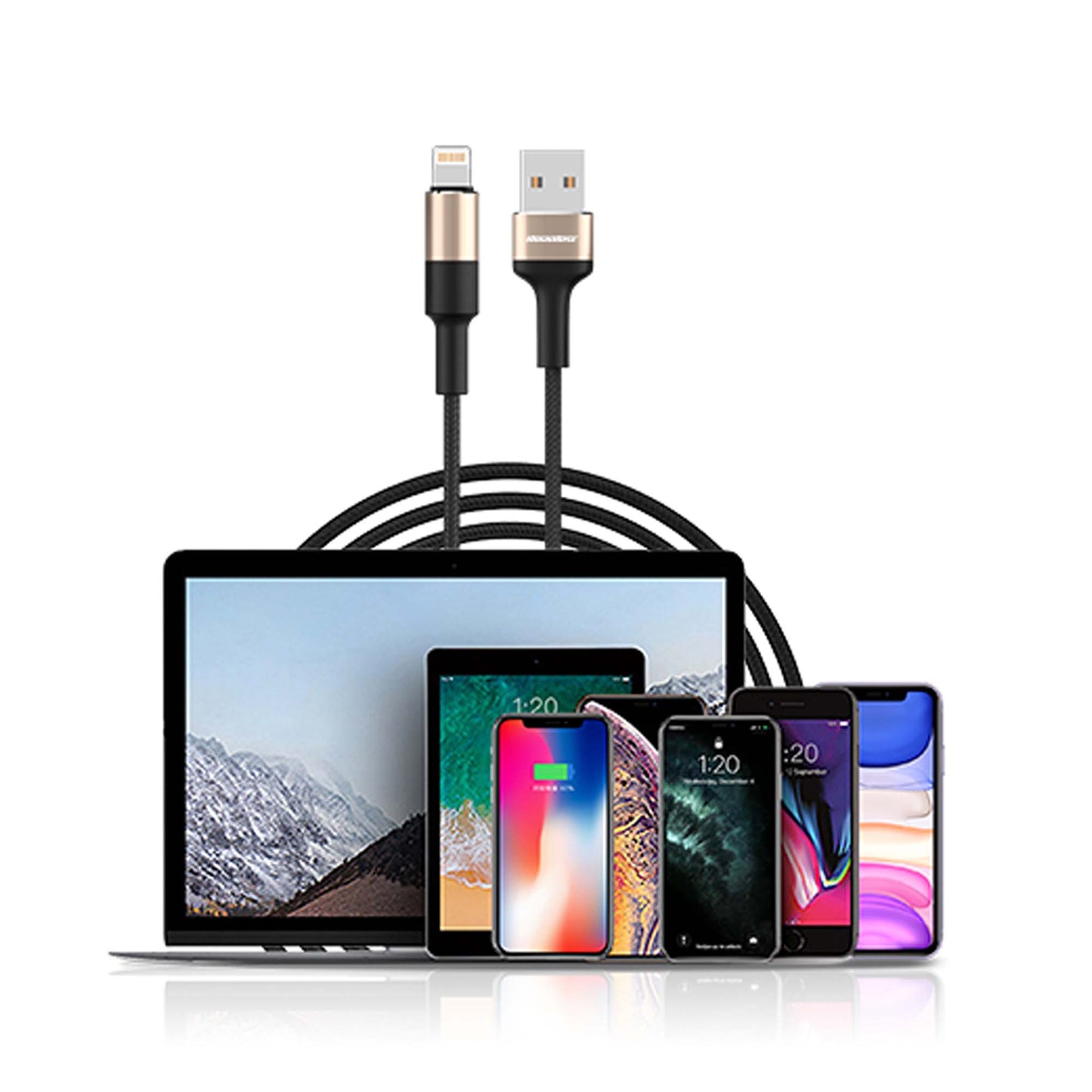 Rockrose Acacia AC 1m USB-C Cable - Black+Gold (Barcode: 6973135540335 )