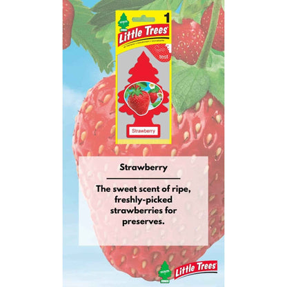 Little Trees X-tra Strength - Strawberry ( Barcode: 076171106124 )