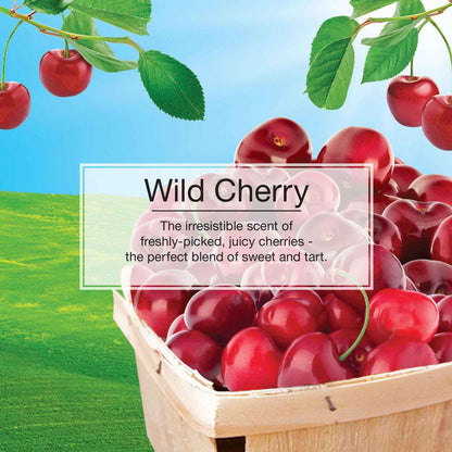 Little Trees X-tra Strength - Wild Cherry ( Barcode: 076171106117 )